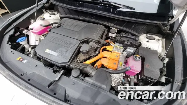 Kia Di Ol Nu Niro id 2624728 из Кореи 7