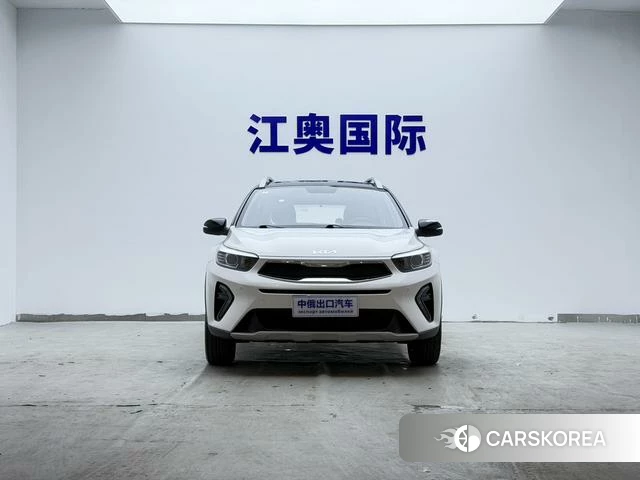 Kia Yi Ran id 4299389 из Китая 7