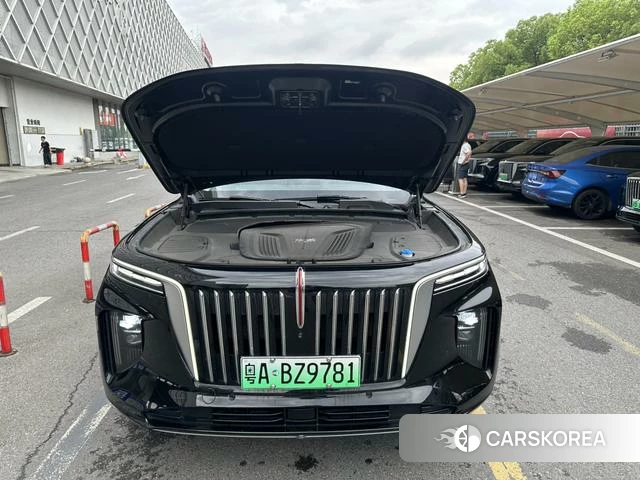 Red flag E-HS9 id 4238687 из Китая 7