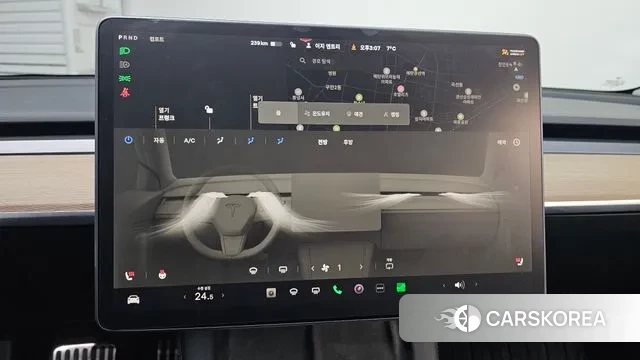 Tesla Model 3 id 3504032 из Кореи 7