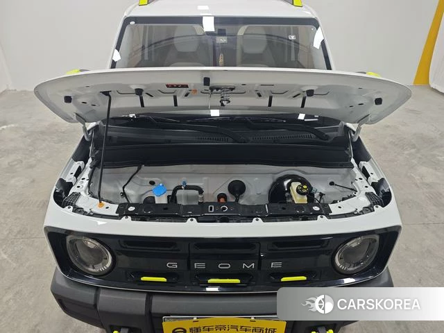 Geely Galaxy panda id 4211901 из Китая 7