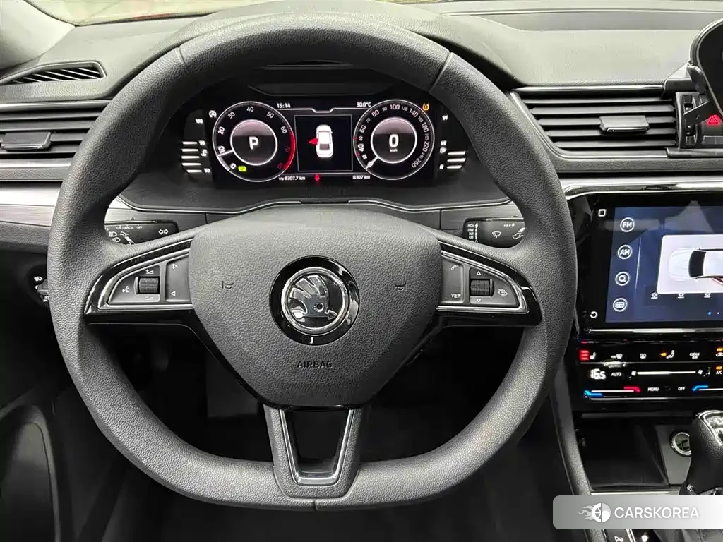 Skoda Speed pie id 4565175 из Китая 7