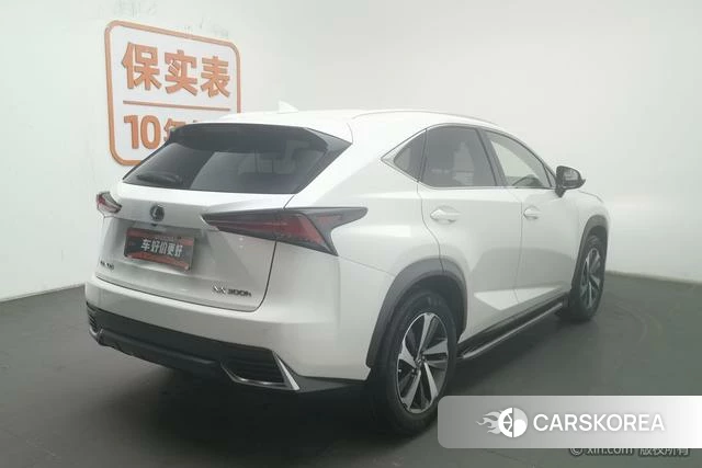 Lexus NX id 4210618 из Китая 7