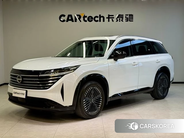 Nissan Exploring the land id 3896018 из Китая 7