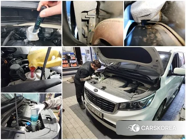 Kia The New Carnival id 3522585 из Кореи 7