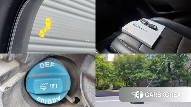 Chevrolet (GM Daewoo) The New Trax id 3020972 из Кореи 7