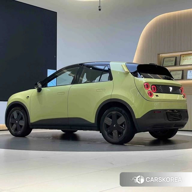 firefly firefly Unknown id 3993585 из Китая 7