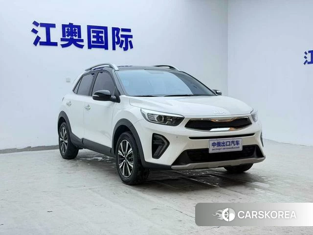 Kia Yi Ran id 4359189 из Китая 7