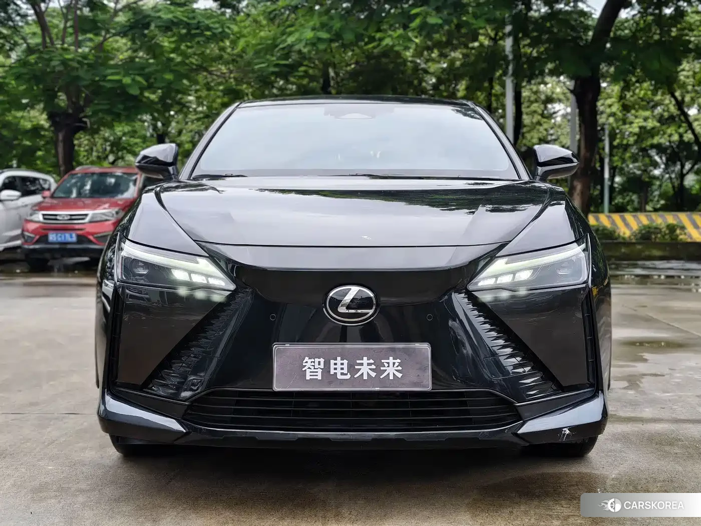 Lexus RZ id 4559691 из Китая 7