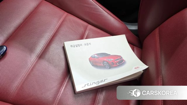 Kia Stinger id 4684036 из Кореи 7