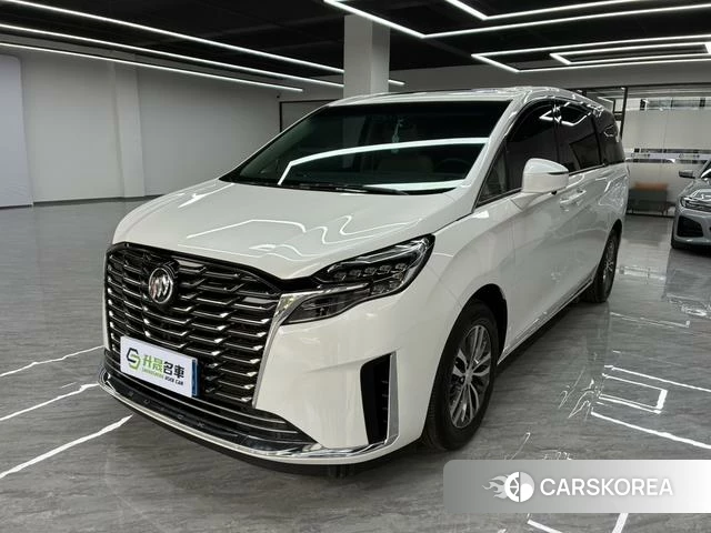 Buick GL8 id 4240282 из Китая 8