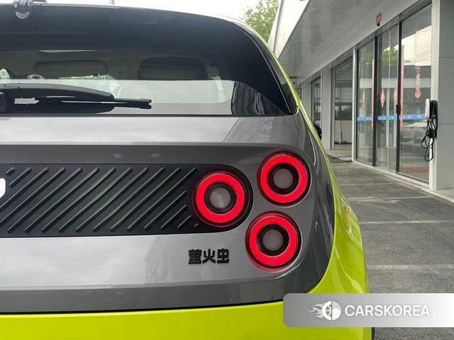 firefly firefly Unknown id 4182703 из Китая 8