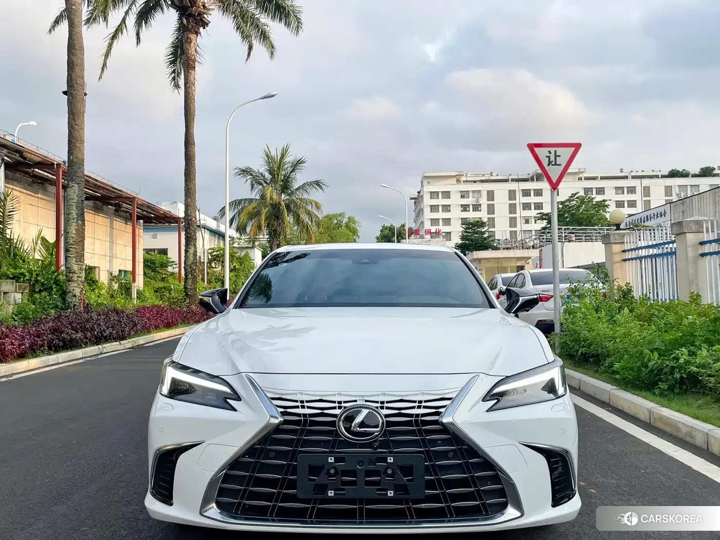 Lexus ES id 4546060 из Китая 8