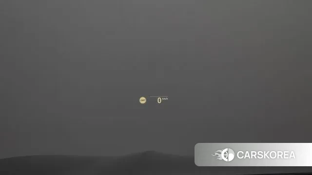 BMW X4 (G02) id 3459482 из Кореи 8