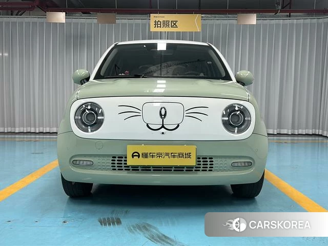 Euler Black cat id 4220683 из Китая 8