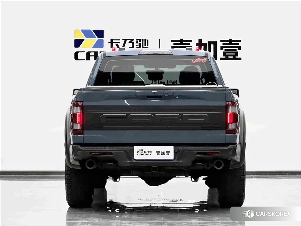 Ford F-150 id 4649403 из Китая 8