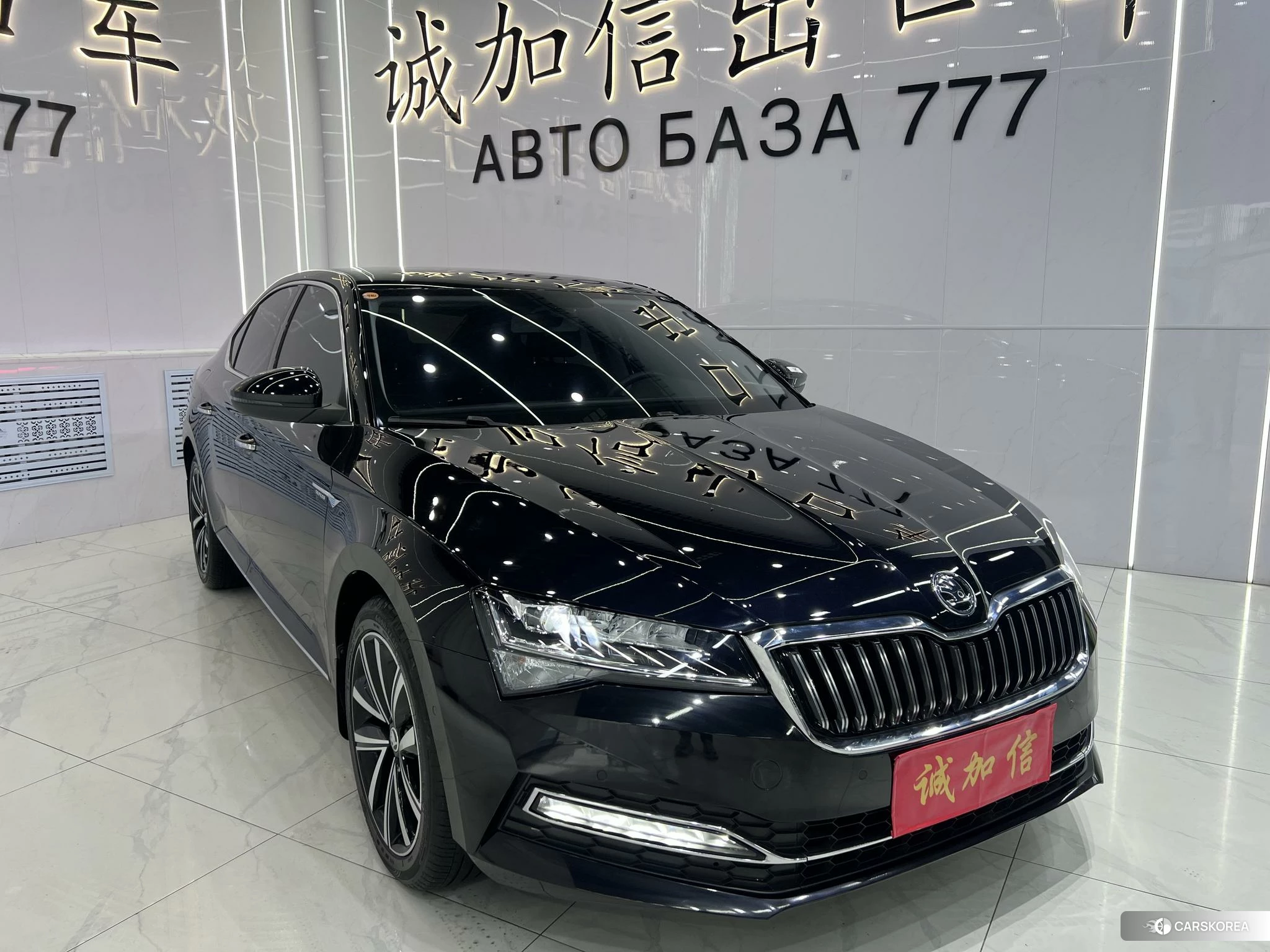Skoda Speed pie id 4461304 из Китая 8