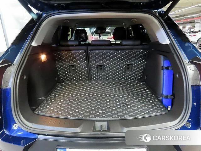 Chevrolet (GM Daewoo) Trailblazer id 4758511 из Кореи 8