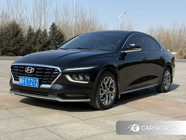 Hyundai Name picture id 4207756 из Китая 8