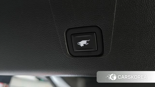 Chevrolet (GM Daewoo) Traverse id 3859891 из Кореи 8