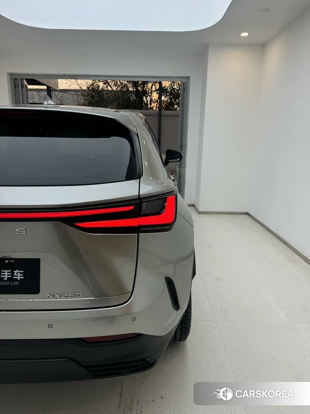 Lexus NX id 4238588 из Китая 8