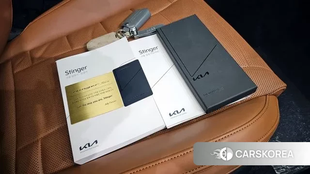 Kia Stinger Meister id 3036843 из Кореи 8