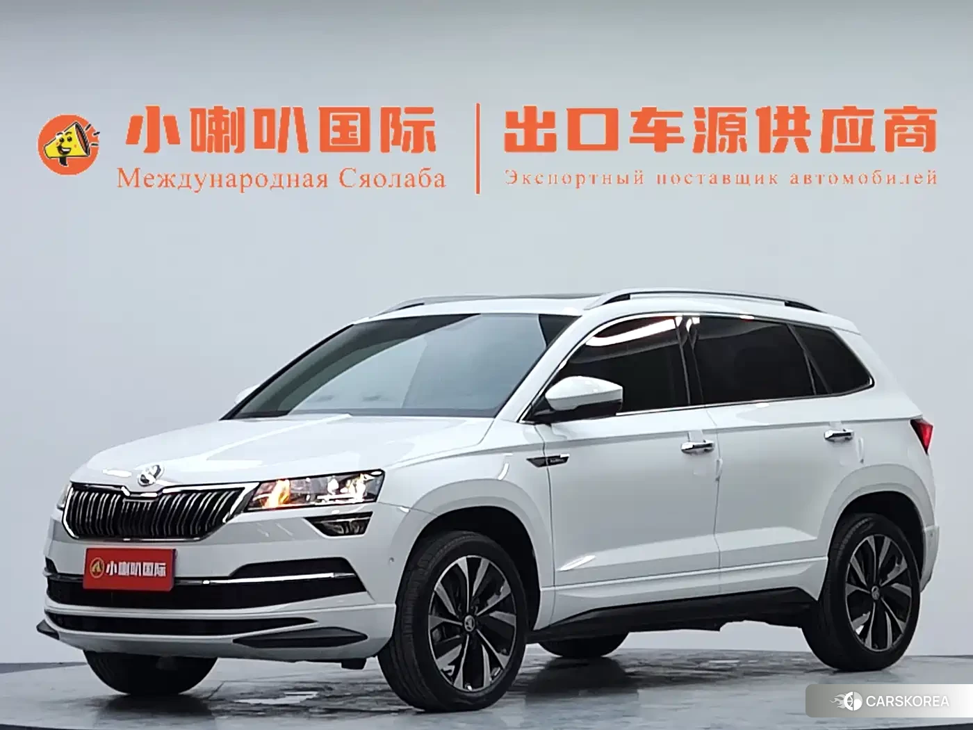 Skoda Karoq id 4679554 из Китая 8