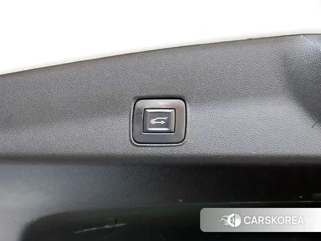 Chevrolet (GM Daewoo) Trailblazer id 3765032 из Кореи 8