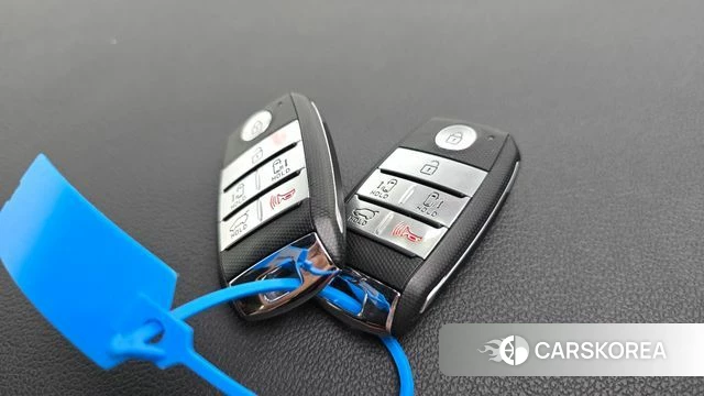Kia The New Carnival id 4594948 из Кореи 8