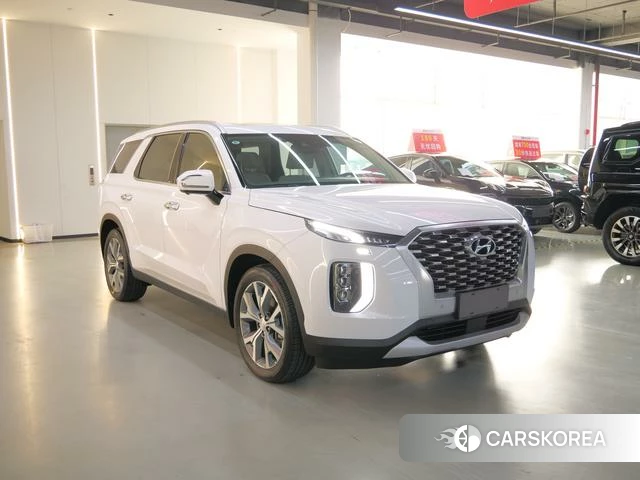 Hyundai Paristi id 4374630 из Китая 8