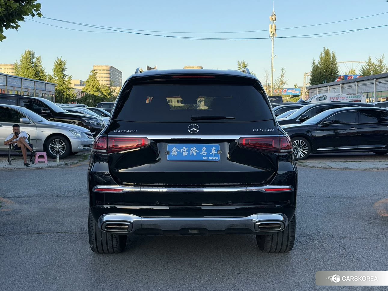 Mercedes-Benz Maybach GLS id 4487284 из Китая 8