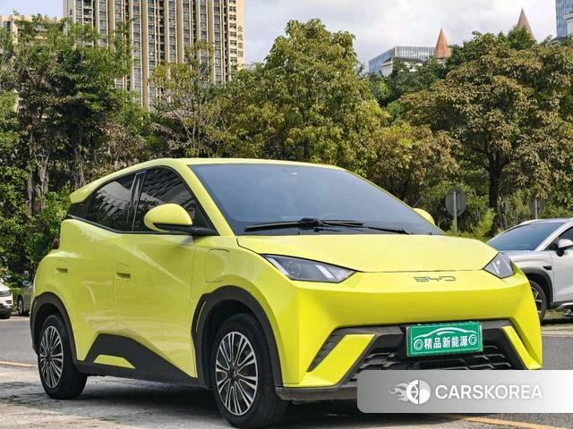 BYD Seagull id 4235637 из Китая 8