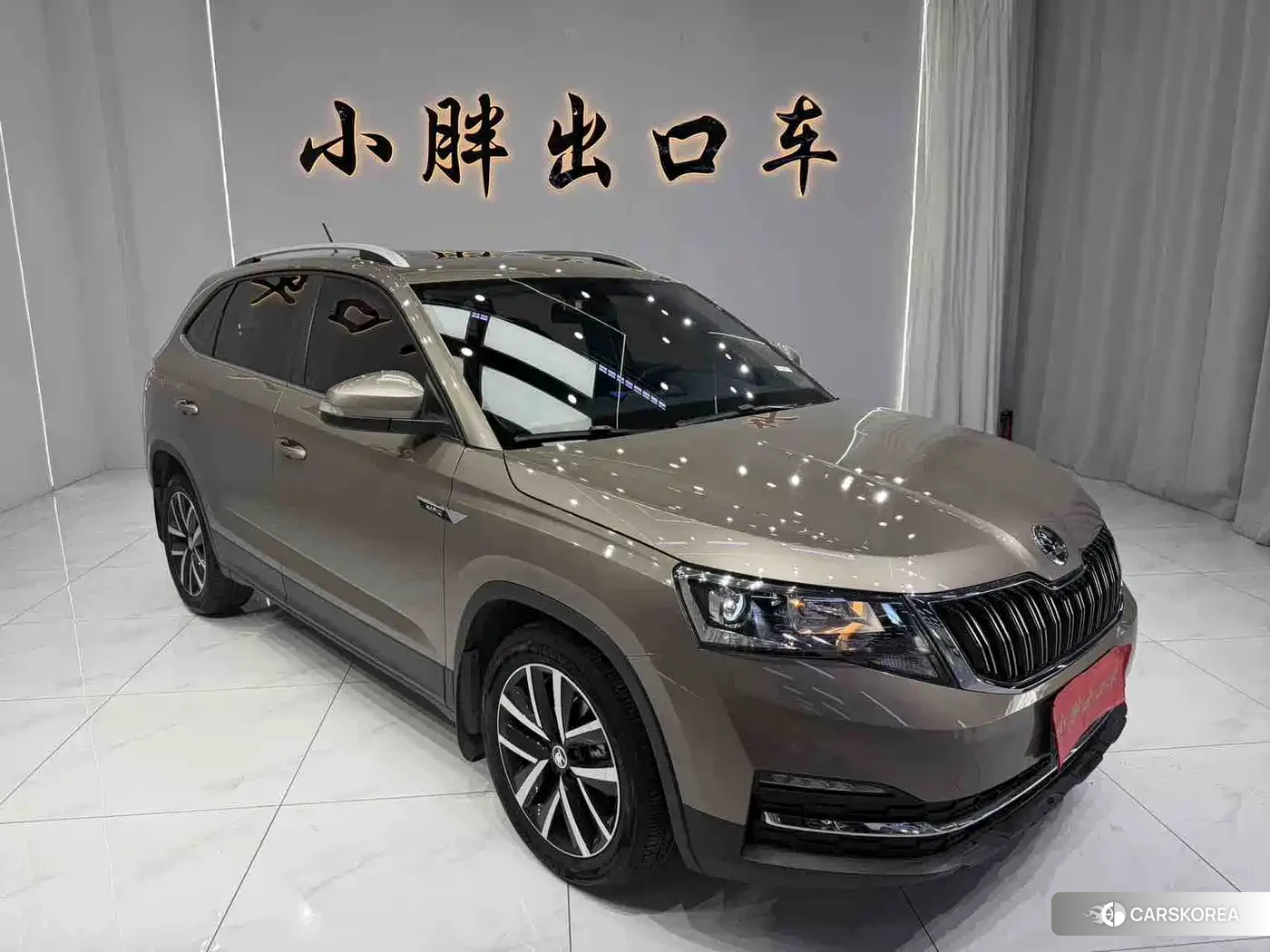 Skoda Komick id 4553973 из Китая 8