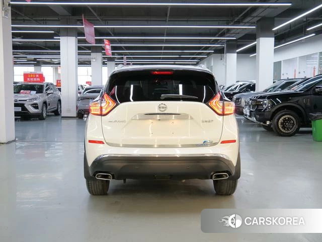 Nissan Loulan id 4221013 из Китая 8