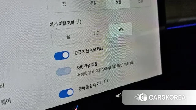 Tesla Model 3 id 3468760 из Кореи 8
