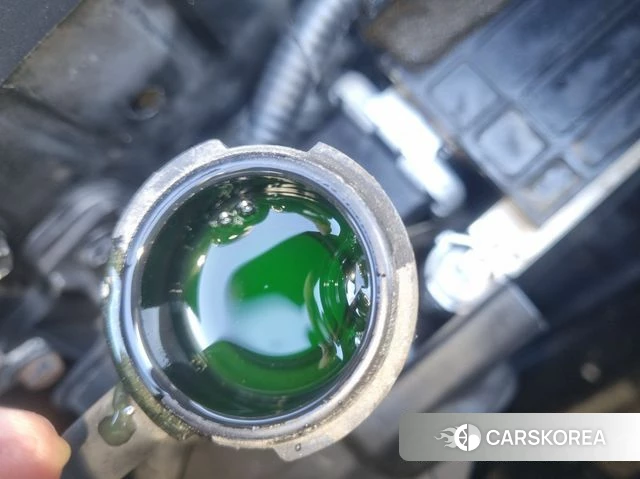 Kia The New Carnival id 3824929 из Кореи 8