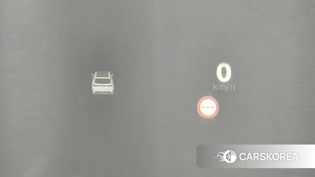 Renault Korea (Samsung) Grand Coleos id 3223096 из Кореи 8