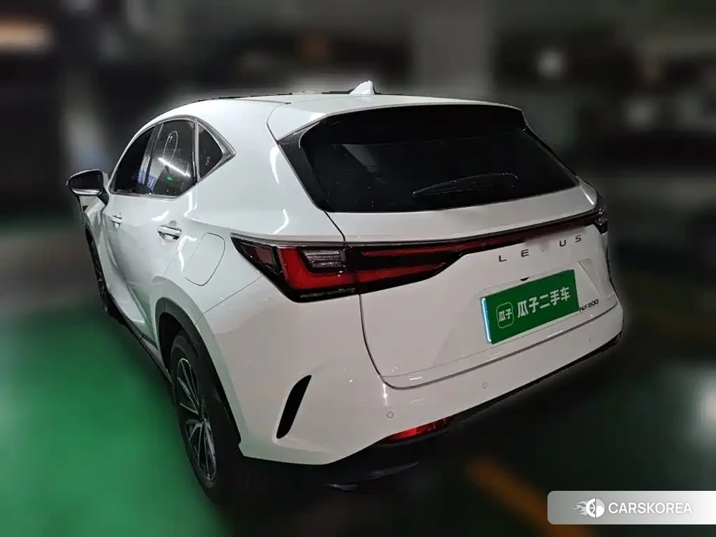 Lexus NX id 4538642 из Китая 8