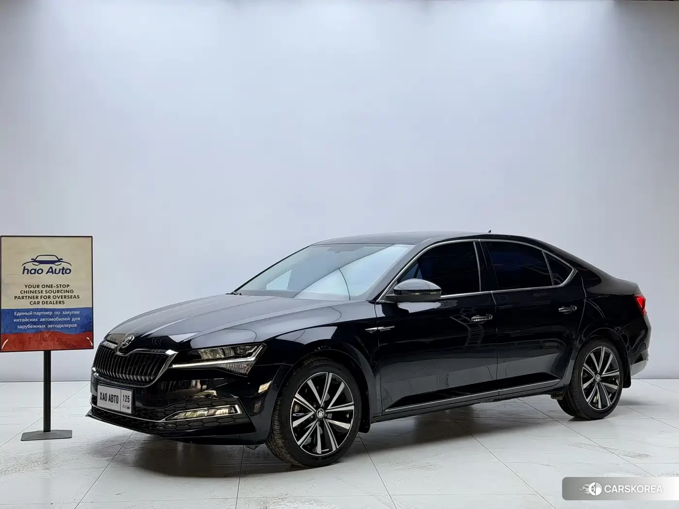 Skoda Speed pie id 4538780 из Китая 8