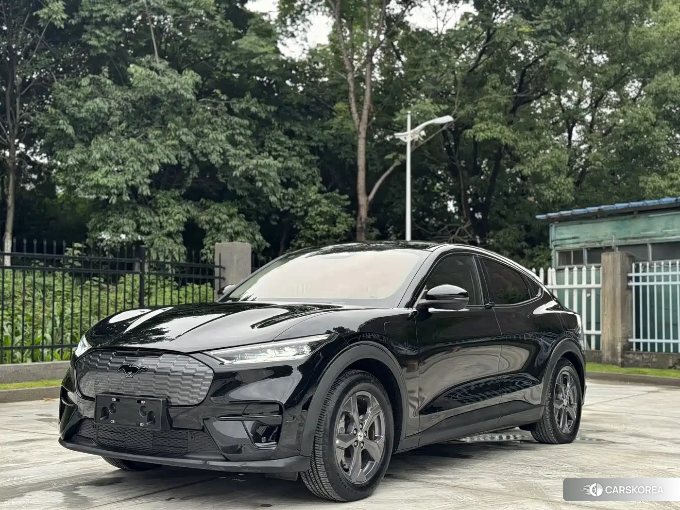 Ford Electric horse id 4515499 из Китая 8