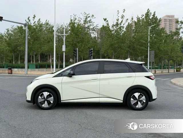 BYD dolphin id 4207077 из Китая 8