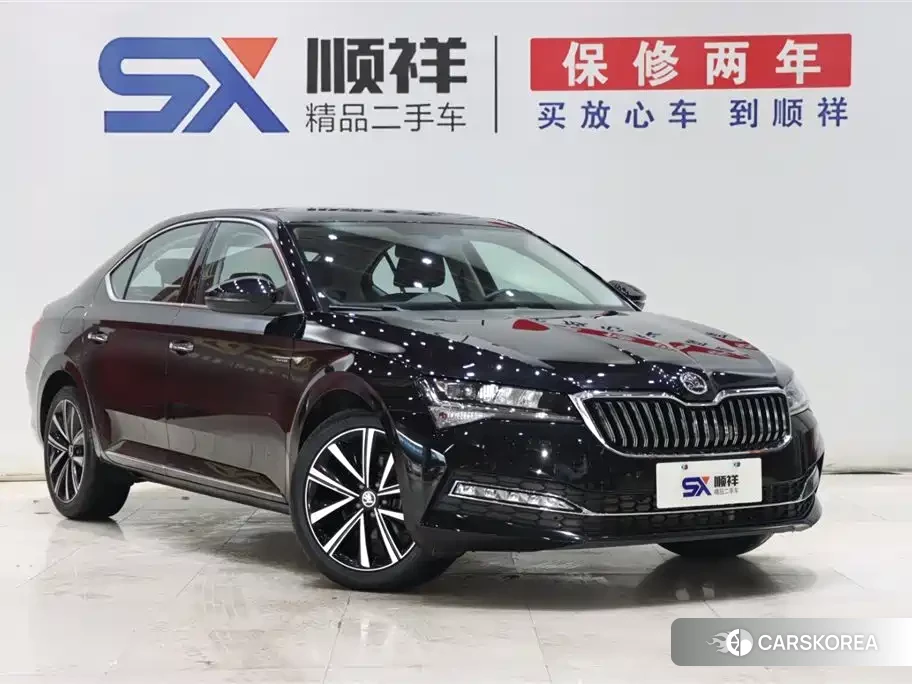 Skoda Speed pie id 4515532 из Китая 8