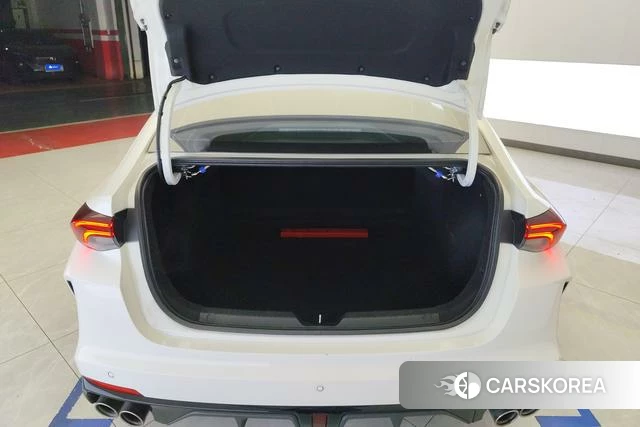 GAC Trumpchi Shadow Leopard id 4211688 из Китая 8