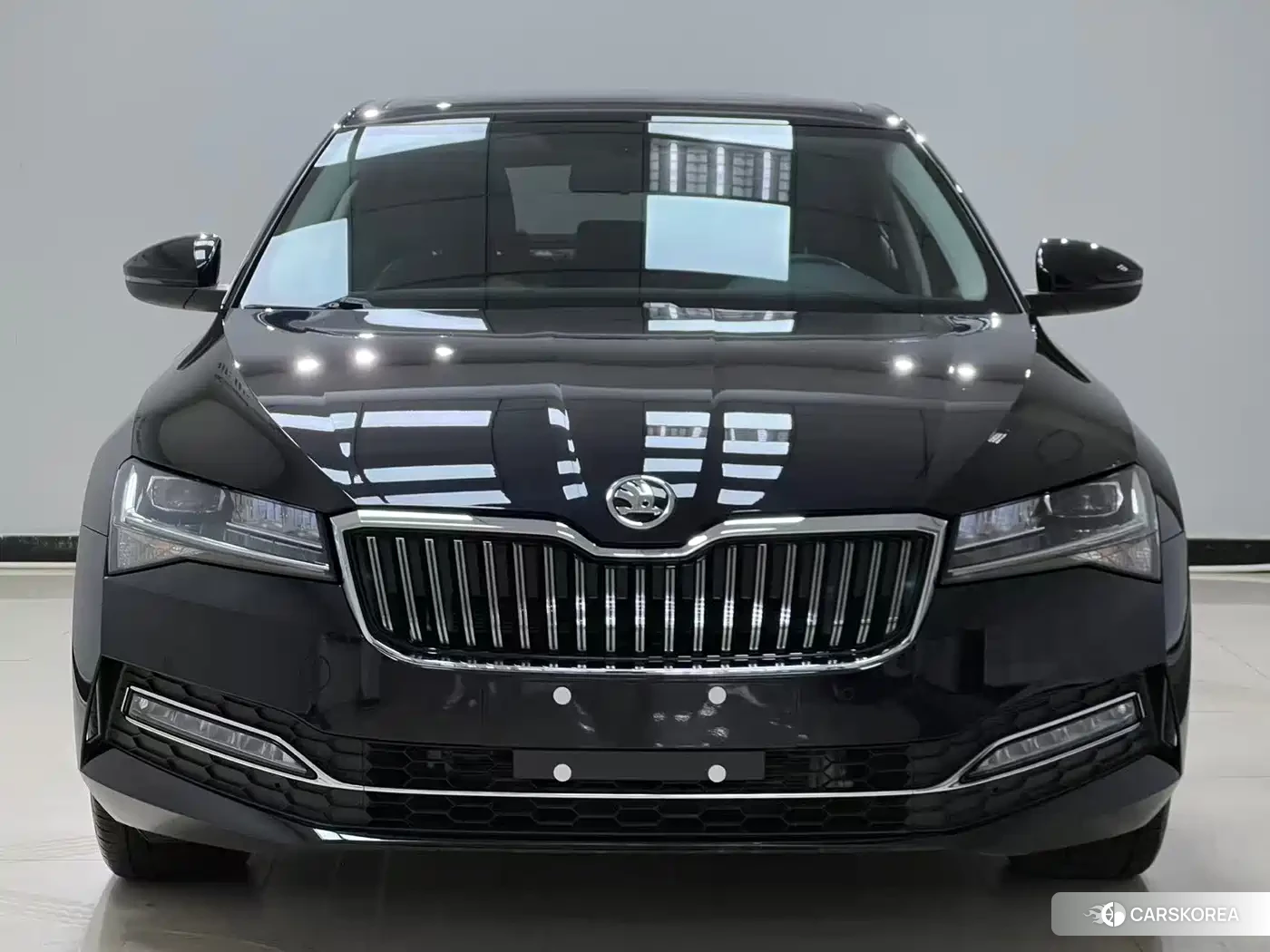Skoda Speed pie id 4548085 из Китая 8