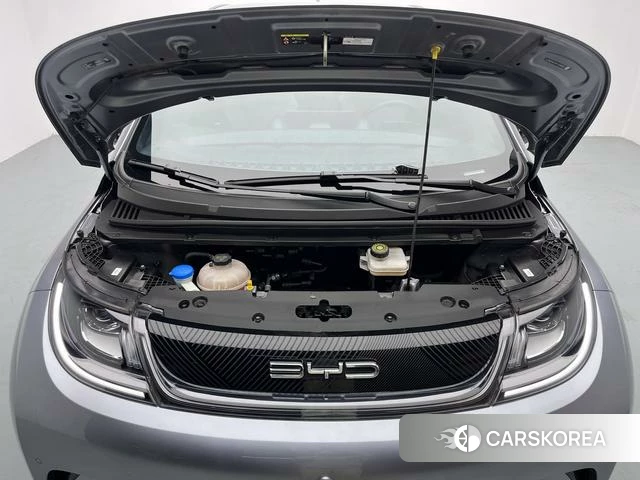 BYD dolphin id 4236414 из Китая 8