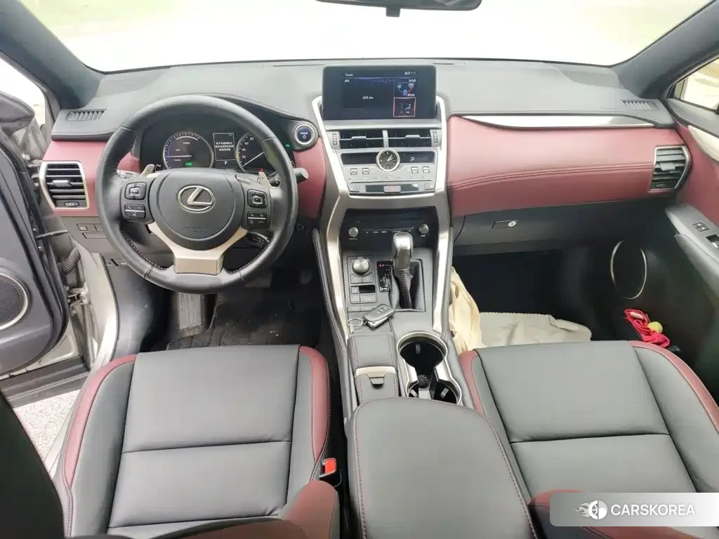 Lexus NX id 4589196 из Китая 8