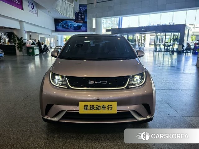 BYD dolphin id 4241378 из Китая 8