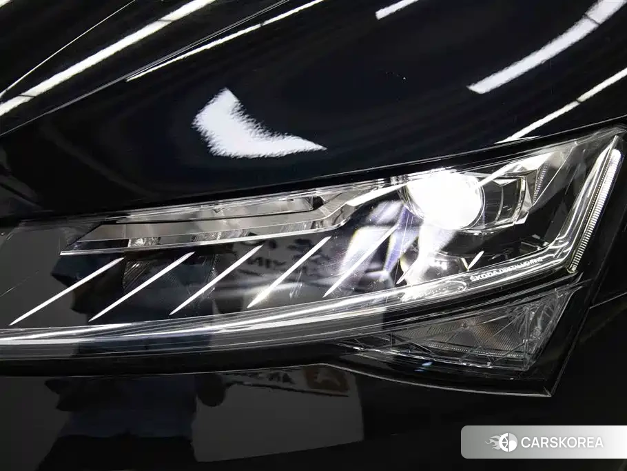 Skoda Speed pie id 4559648 из Китая 8