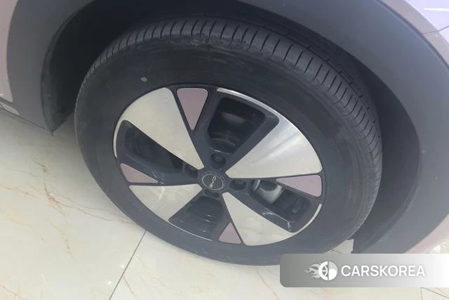BYD dolphin id 4254818 из Китая 8