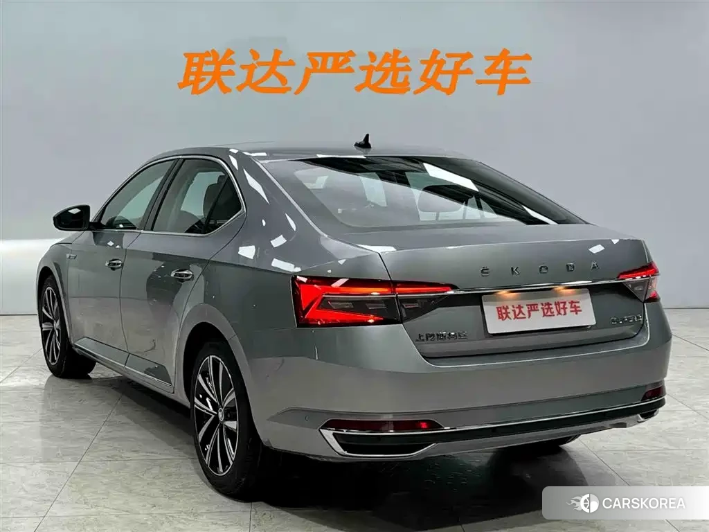 Skoda Speed pie id 4577562 из Китая 8